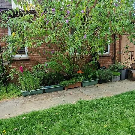 Glebe House, Private Entrance, Free Parking On Drive, Self Check In, Netflix Bed and Breakfast Ashford  Exteriör bild